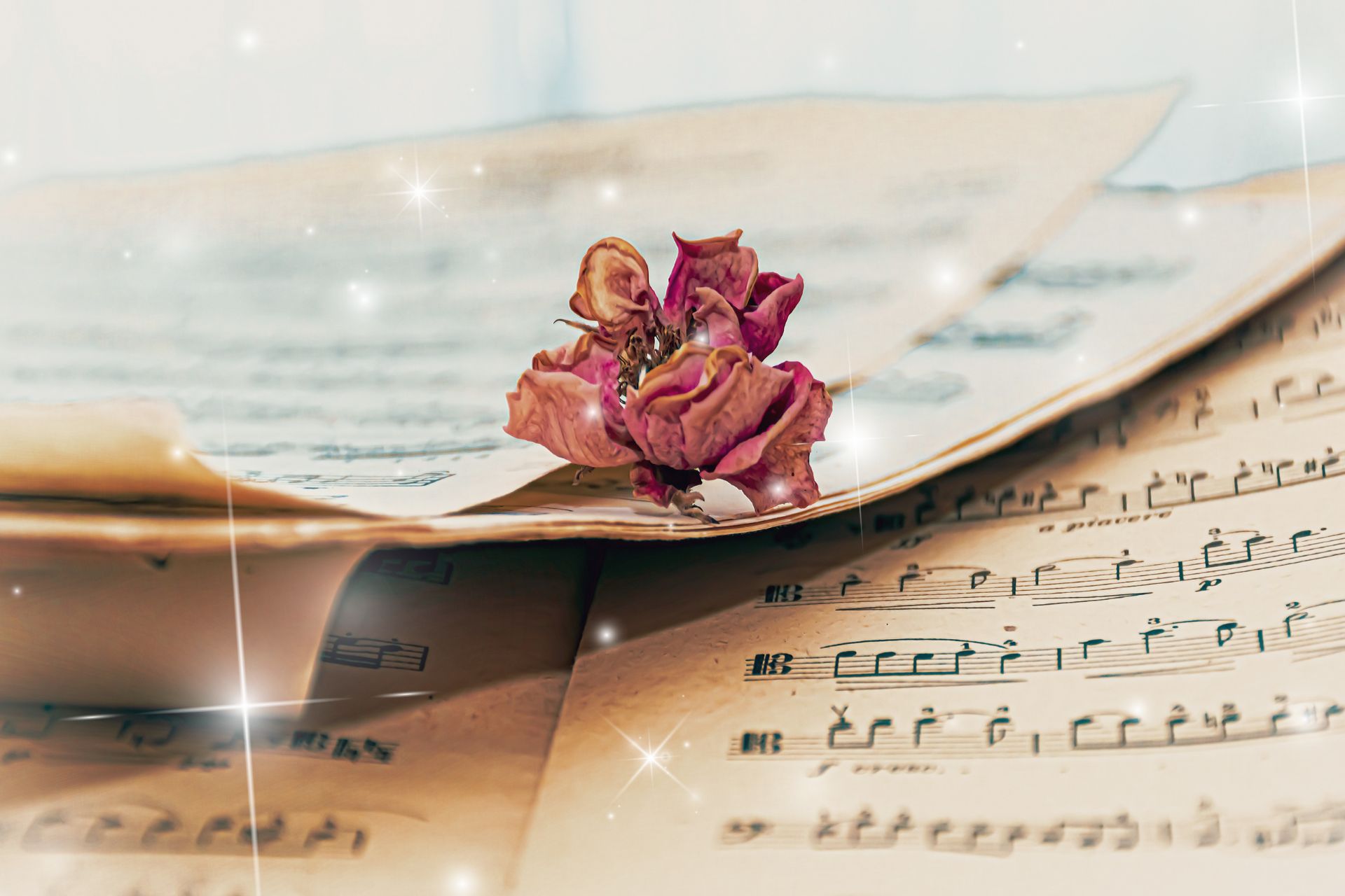 What Word Means Slow In Music? – Cpokorny's blog